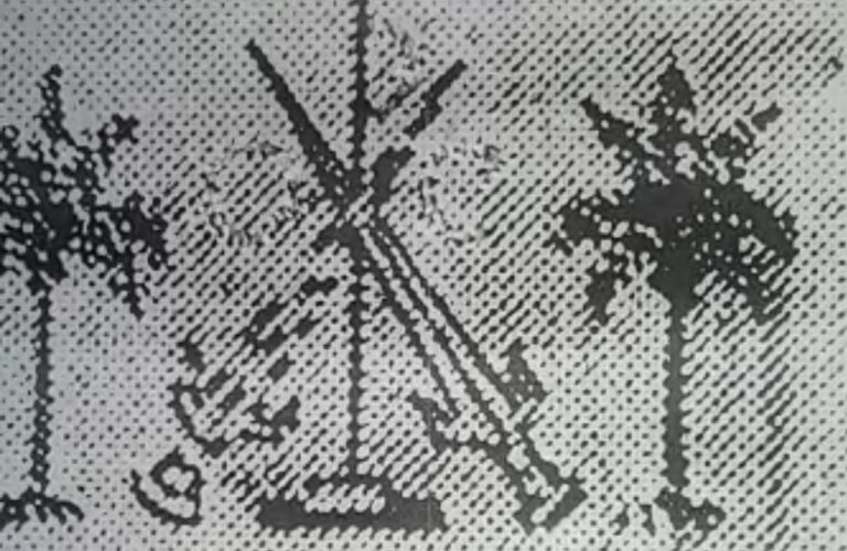 Vlag van Coronie